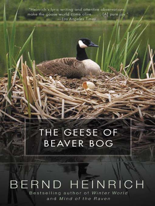 Title details for The Geese of Beaver Bog by Bernd Heinrich - Available
